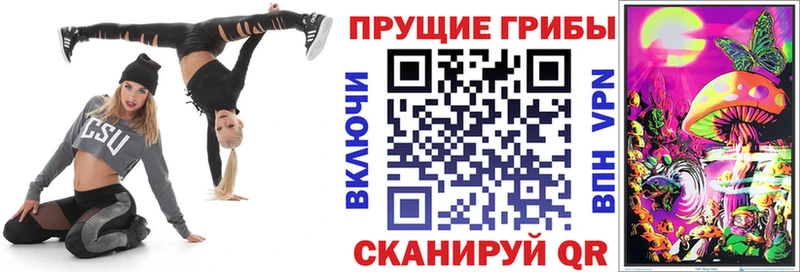 MEGA рабочий сайт Тбилисская Псилоцибиновые грибы прущие грибы
